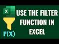 How to Use the Filter Function in Excel