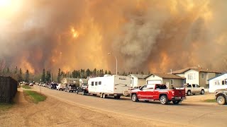 Alberta wildfires: Province-wide state of emergency declared