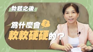 【硬度不足】勃起之後，為什麼會軟軟硬硬的？｜軟掉｜性困擾