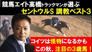 【調教診断】「こいつは怪物かも⁉︎」競馬エイト高橋賢司トラックマン厳選《セントウルステークス調教ベスト3 \u0026 この夏見つけた注目馬》