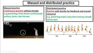 Massed and distributed practice