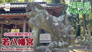 【狛犬・若八幡宮】福岡筑豊・山口川東側の神社