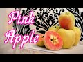 PINK APPLES! - Why This Special Apple is PINK Inside (Hidden Rose Apple) - Weird Fruit Explorer