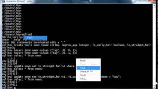 SQLite Functionally Independent Attributes