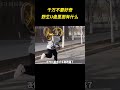 千万不要好奇野生u盘里面有什么 搞笑 离谱 电脑病毒 骚操作 炸裂