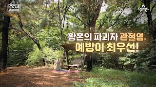 [교양] 100세 프로젝트 114회_황혼의 파괴자 관절염, 예방이 최우선!