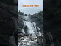 courtallam water falls 😻 courtallam courtallamwaterfalls tenkasi tenkasi360 trending views