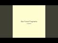 Star Forest Fragments