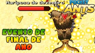 🐜Pocket Ants🐜 VIDEO ESPECIAL PARA INCRITOS / EVENTO DE FINAL DE ANO COM NOVO INSETO !!!