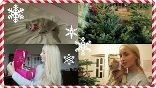 Vlogmas, day 7: GETTING MY CHRISTMAS TREE!