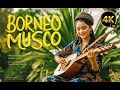 Borneo Music Relaxing Vol #2  | Relaxing sape Music to sleep and  Eliminates Stres | Music of Asia