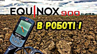 Знайшов золото з minelab equinox 900 🔥