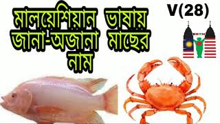 Fish names in Malay language . মালয়েশিয়ান ভাষায় মাছের নাম । learn fish names in Malay language.