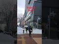 札幌は雪です。素敵な雪！魂もきれいになる雪！ japan