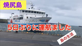 【焼尻島の生活】5日ぶりにフェリーが到着しました