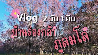 2025 | ชมพระอาทิตย์ตกที่ลานหินแตก นอนพักที่บ้านร่องกล้า ท้าหนาวยามเช้าที่ภูลมโล!!