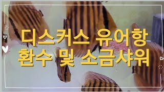 디스커스 유어항 환수 및 소금샤워