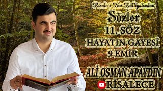 Ali Osman Apaydın - Sözler - 11. Söz - Hayatın Gayesi 9 Emir