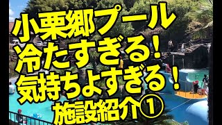 道の駅　鹿北　小栗郷　親水プール全体案内③