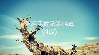 聖經民數記第14章（NLV)