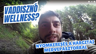 NYOMKERESŐ - 1. rész - A vaddisznó fürdőszobája