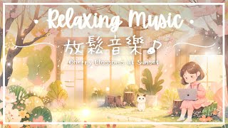 夕陽之櫻 | 細膩寧心放鬆音樂 - 給需要休息的你..🌸