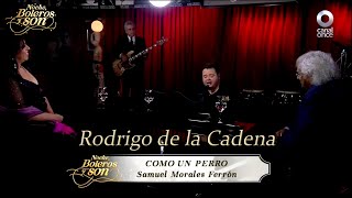 Como Un Perro / Perdámonos / Imploración - Rodrigo de la Cadena - Noche, Boleros y Son