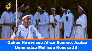 Gahee Hawwisoo Afran Bunnoo, Aadaa Uummataa Mul'isuu Keessatti!