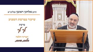 🌟 המסע הרוחני ומאה ברכות - שיעור מרתק על פרשת לך לך - הרב אלחנן ראובן