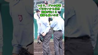 [高校野球]なぜビデオ判定を導入しないか[ずんだもん]#高校野球 #甲子園 #野球 #ずんだもん