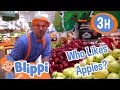 Blippi Visits an Apple Fruit Factory + More | Blippi | Educational Videos For Kids | Food Videos