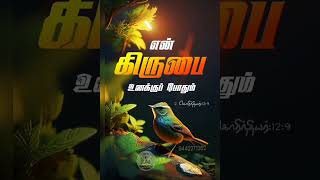 2 கொரிந்தியர் 12:9_ #GOOD NEWS _ #இன்றைய நற்செய்தி #NELSON S PUDUKOTTAI