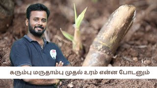 sugarcane fertilizers கரும்பு மருதாம்பு என்ன உரம் போடனும்