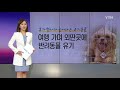 유기견 퍼스트 도그 토리 서울광장에 떴다 ytn