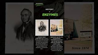 History of ENZYMES