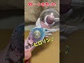 【10日目】仮面ライダーチョコ　当たるまで毎日開封する　ヤベーイオタク shorts