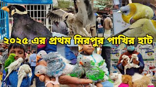 অবশেষে এসেছে টিয়া পাখির বাচ্চা_ঈগল পাখি,হরিয়াল_Persian Cat, Ringneck_Mirpur 1 pakhir Haat 2025