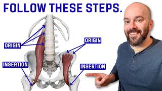 Watch Me Learn Muscle Origins & Insertions (Real Study Demo)