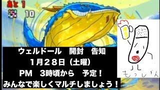 パズドラ　ウェルドール　開封　告知　１月２８日　みんなでマルチしましょう