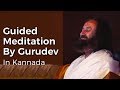 ಸೂಕ್ಷ್ಮ ಪ್ರಭೆ ಕನ್ನಡ ಧ್ಯಾನ | Aura Meditation | Guided Meditation With Sri Sri Ravi Shankar In Kannada