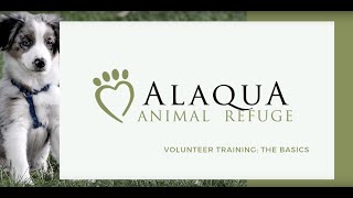 Alaqua Dog Walking Training Video