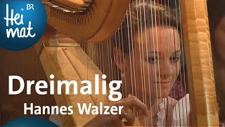 Dreimalig: Hannes Walzer | Wirtshausmusikanten | BR Heimat - die beste Volksmusik