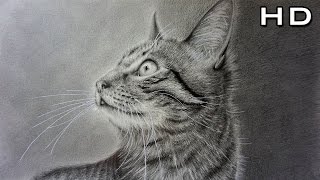 Cómo Dibujar un Gato Realista a Lápiz Paso a Paso - TUTORIAL