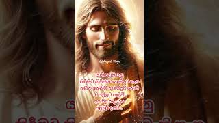 ජීවිතයේ පළමු තැන යාච්ඤාවට දෙන්න 🙏 #jesus #praytogod #shortfeed #jesus #ජේසු #whatsappstatus #video