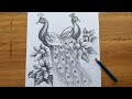 how to draw peacock step by step,easy peacock drawing for beginners,how to draw peacock,bird drawing