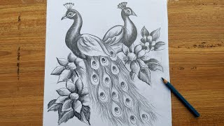 how to draw peacock step by step,easy peacock drawing for beginners,how to draw peacock,bird drawing