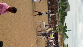 தேத்தாம்பட்டி வடம் சுற்று 11 Live