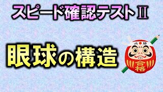 【聞き流し・スピード確認テストⅡ・24】眼球の構造（解剖生理学・感覚器系）