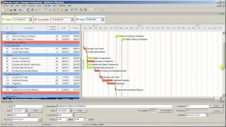 Phoenix Project Manager Organization with Activity Codes