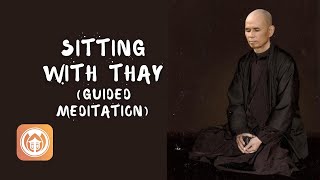 Sitting with Thay | Guided meditation by Sister True Dedication (audio)